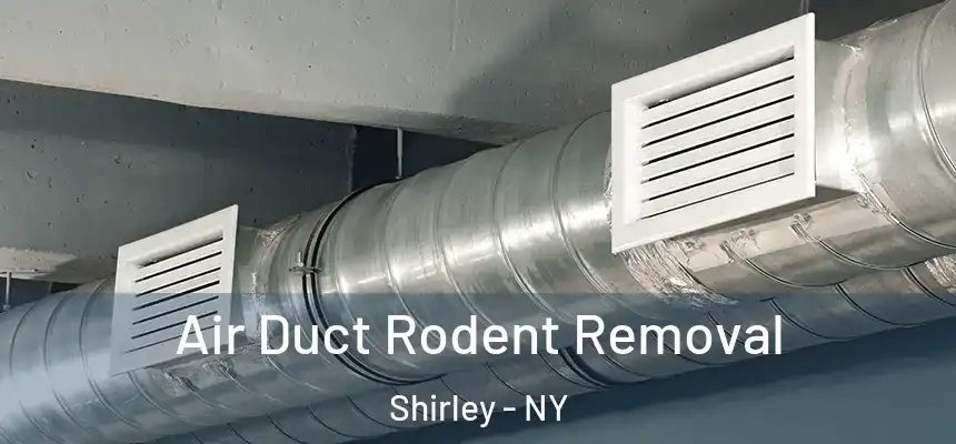 Air Duct Rodent Removal Shirley - NY
