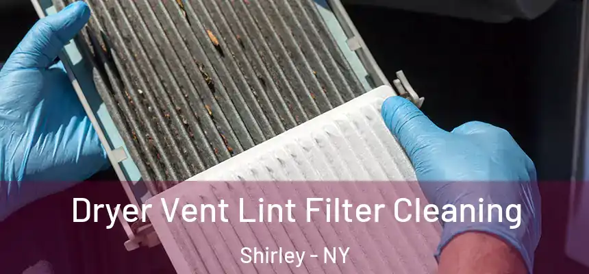  Dryer Vent Lint Filter Cleaning Shirley - NY