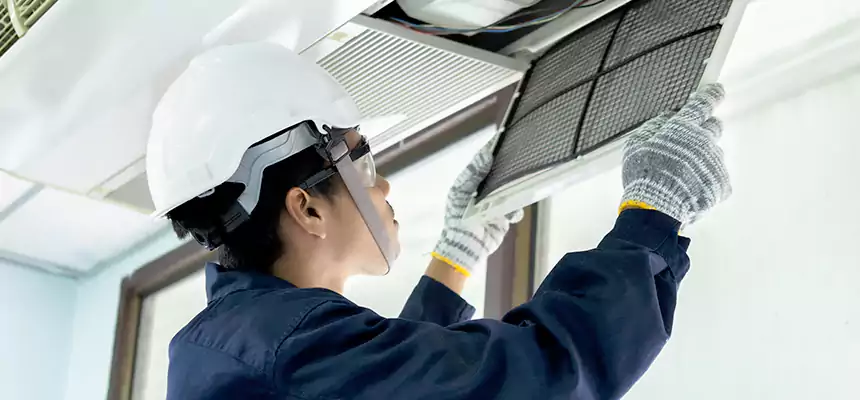 Our Mold & Mildew Removal from Air Ducts Services in Shirley, NY