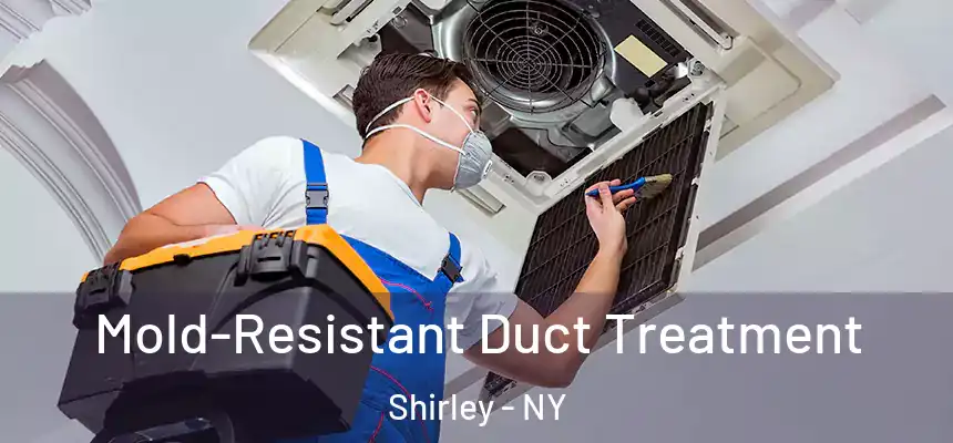 Mold-Resistant Duct Treatment Shirley - NY