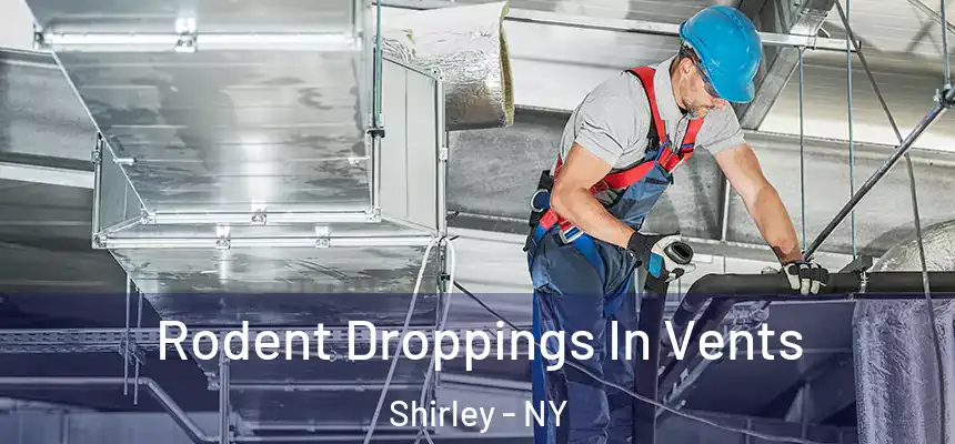  Rodent Droppings In Vents Shirley - NY