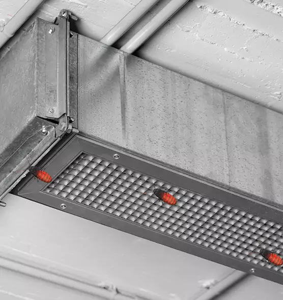 About Air Duct Cockroach Removal in Shirley, NY