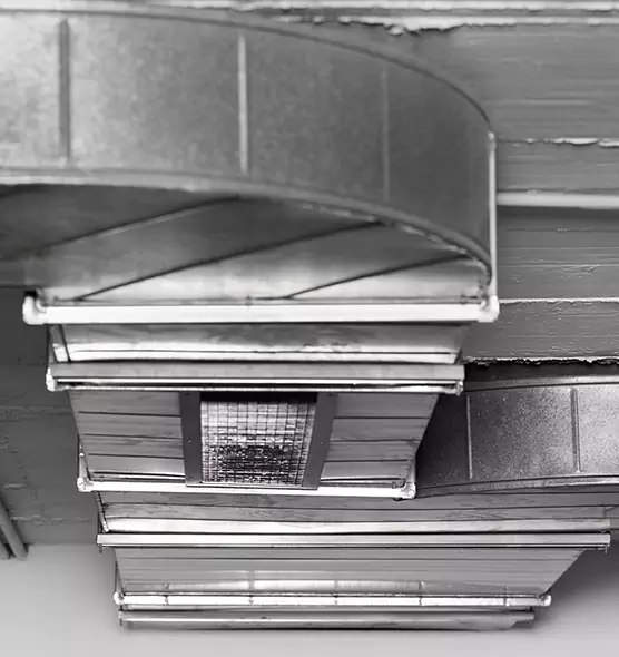 Professional Air Duct Pest Removal in Shirley, NY