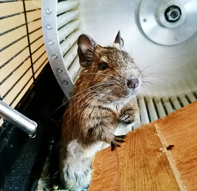 Why Homeowners & Businesses Trust Us Shirley, NY?