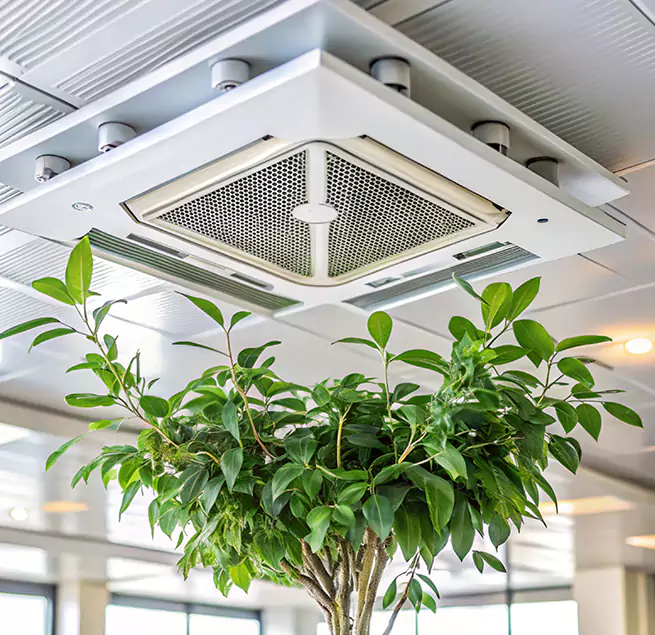 Why Homeowners & Businesses Trust Us in Shirley, NY?