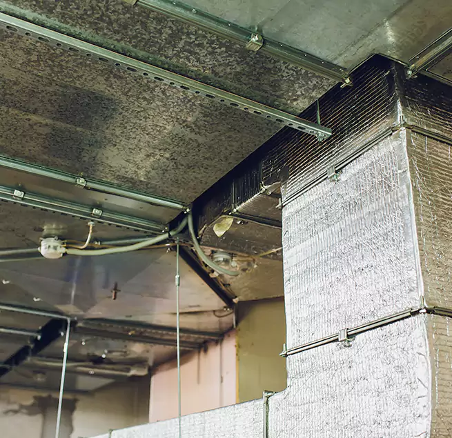 Why Homeowners & Businesses Trust Us in Shirley, NY?